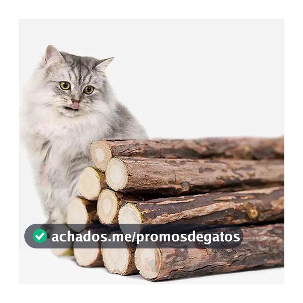 15 Unidades Matatabi Varas Varinhas Matatabi Catnip Limpa Dentes Anti Stres Erva natural para gatos