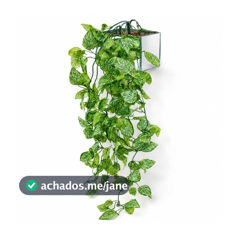 Jiboia Afortunada Artificial Pendente Com Vaso De Espelho