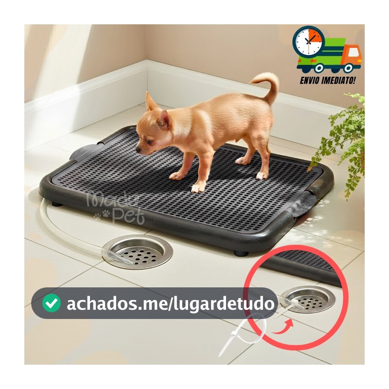Banheiro Sanitário Com Dreno e Mangueira Lavável Para Cães Tapete Higiênico Promoção Envio Imediato