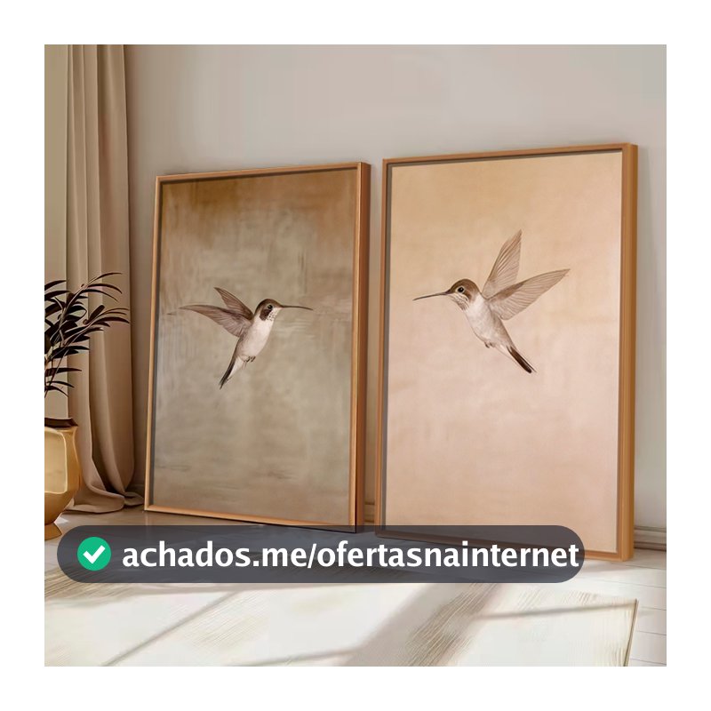 Kit2 QUADROS decorativo com MOLDURA CAIXA ALTA grande 41x61 cm Beija-Flor, Arte Minimalista Retrô para Decoração Rústica