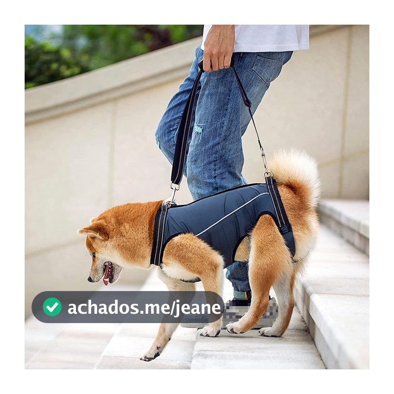 Primeiro, olhe para a tabela de tamanhos Arreios De Apoio Para Cães Ajustável Pernas Dianteiras E Traseiras  Reabilitação  Deficiência  Suprimentos Animais De Estimação