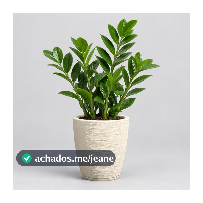 Vaso para Plantas Medio Decorativo em Polietileno Coluna Bojo Escovado N1 com Prato Coletor