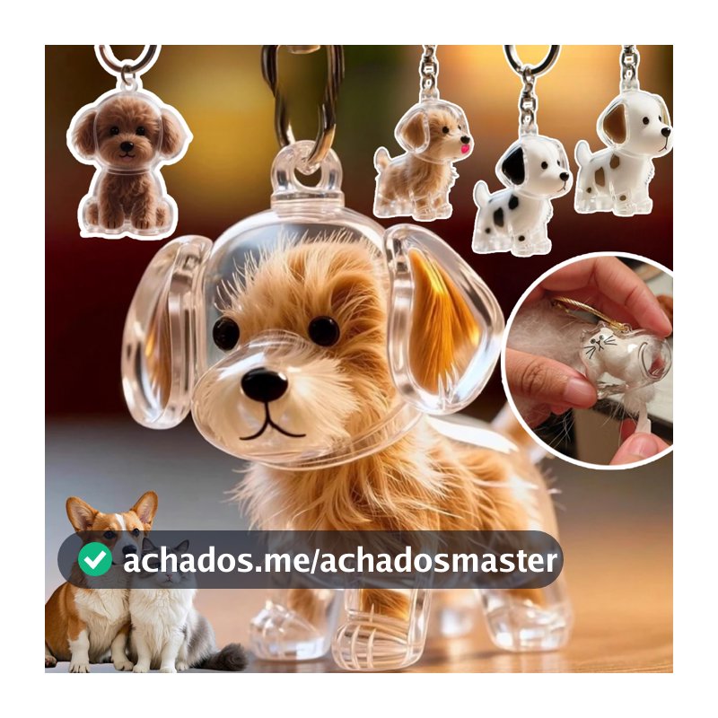 Chaveiro Criativo De Armazenamento De Cabelo Fofo Cachorro Pingente Transparente Para Animais De Estimação