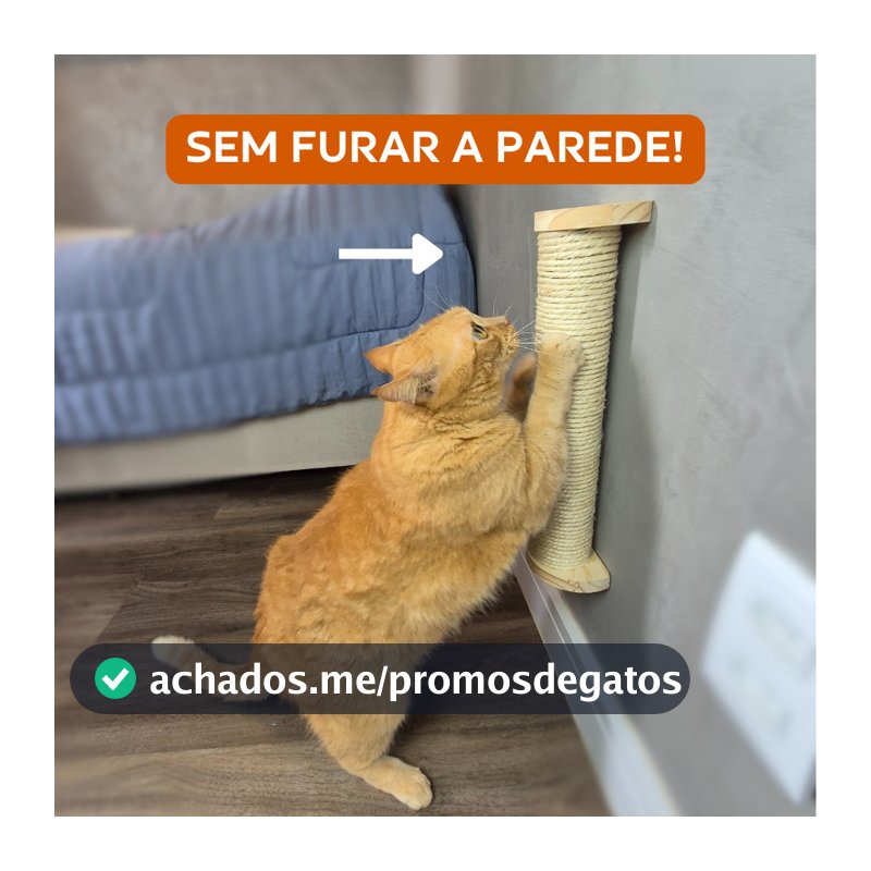 Gato Arranhador Parede Sisal Brinquedo Pet Poste