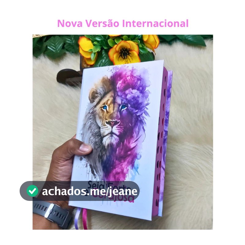 Bíblia Nvi Feminina Seja Forte E Corajosa Capa Dura Letra Média Capa Dura Leão Luxo