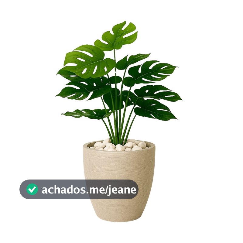 Costela De Adão Artifical + Vaso Polietileno Completo Cores