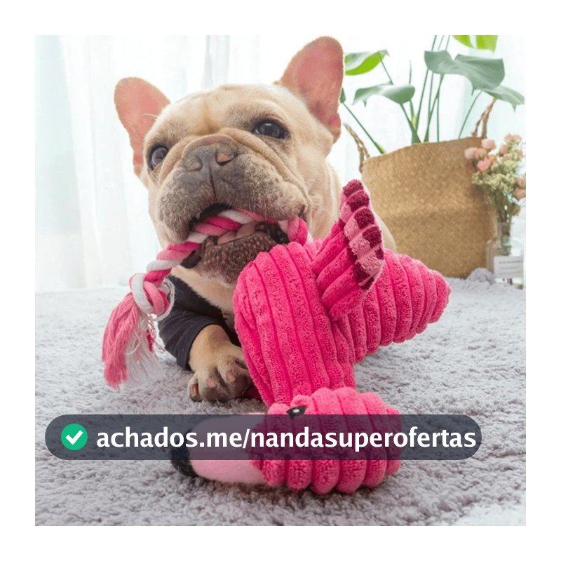 Mordedor Pelúcia Cão Brinquedo Flamingo Som Resistente Cachorro Pet Macio