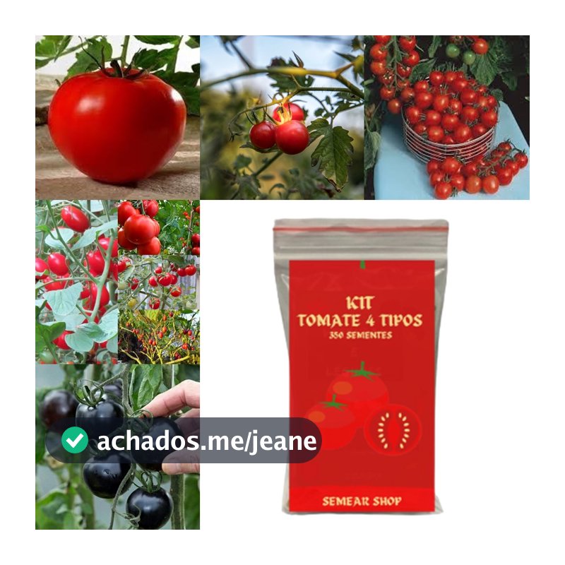 80 Sementes de 4 Tipos de Tomate Separados - Monte sua Horta!