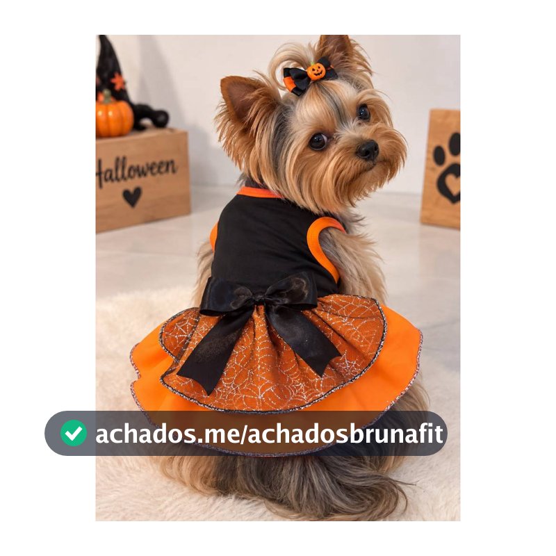Roupa pet vestido halloween fantasia caes e gatos