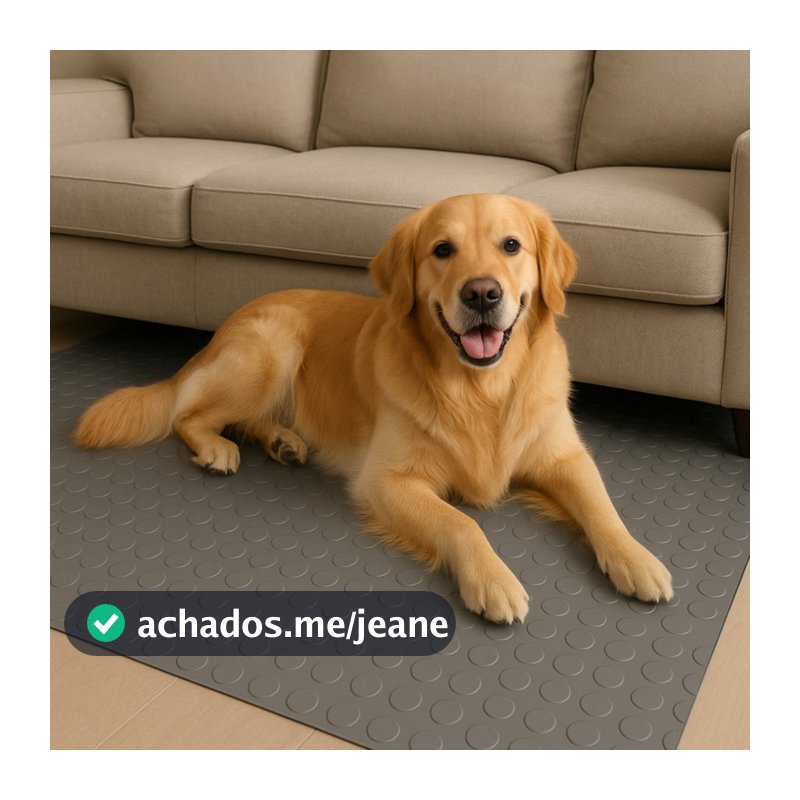 Tapete Moeda 3mm Emborrachada Pet Antiderrapante 65x250cm Displasia Golden Labrador Pug