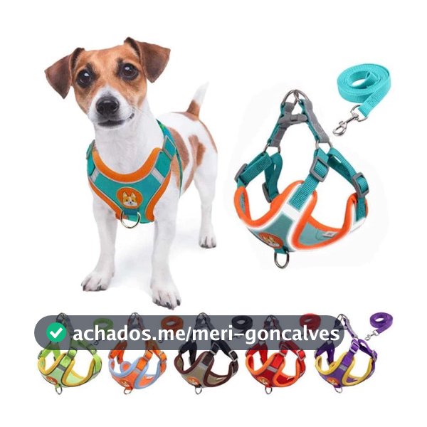 Coleira Peitoral Cachorro E Gato, Conjunto De Guia + Coleira Tipo Colete Para Pet Pequenos E Médios