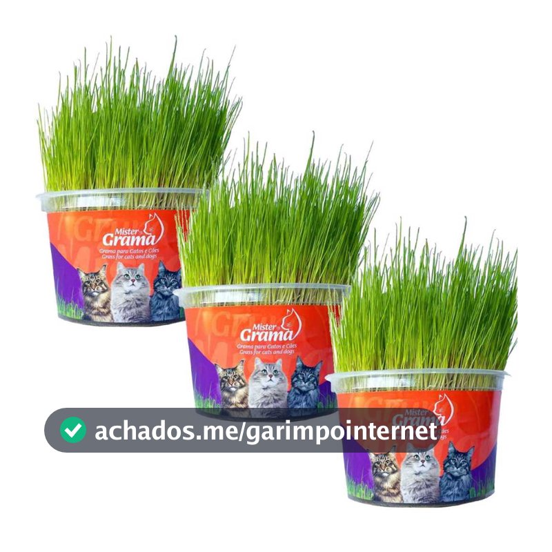 Kit 3 Graminhas Mister Para Gatos Digestão Saúde intestinal