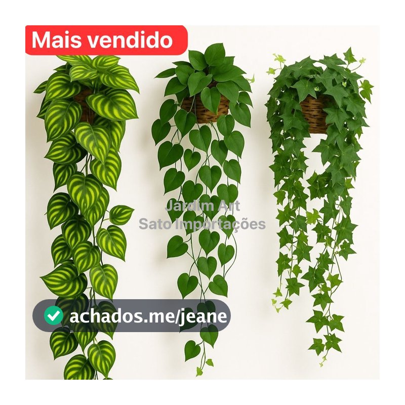 Black Friday! Kit 3 Vasos Suspensos + 3 Cordões Planta Melancia (ou a planta mais parecida) - Frete Grátis 3V3C