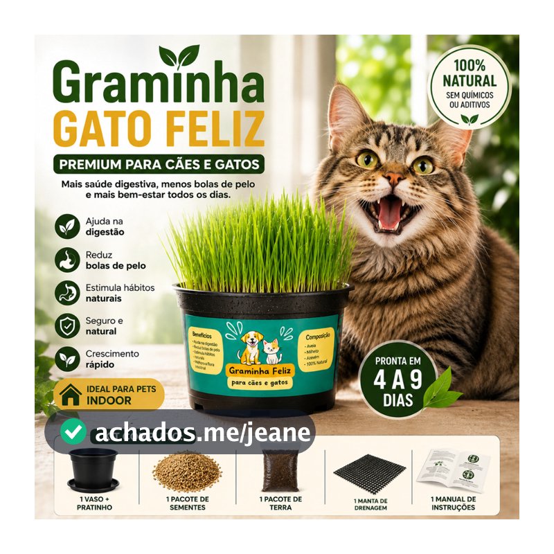 Graminha para Gatos Capim Petisco Anti Bola de Pelo Ajuda Digestão Fácil de Plantar Natural Pet
