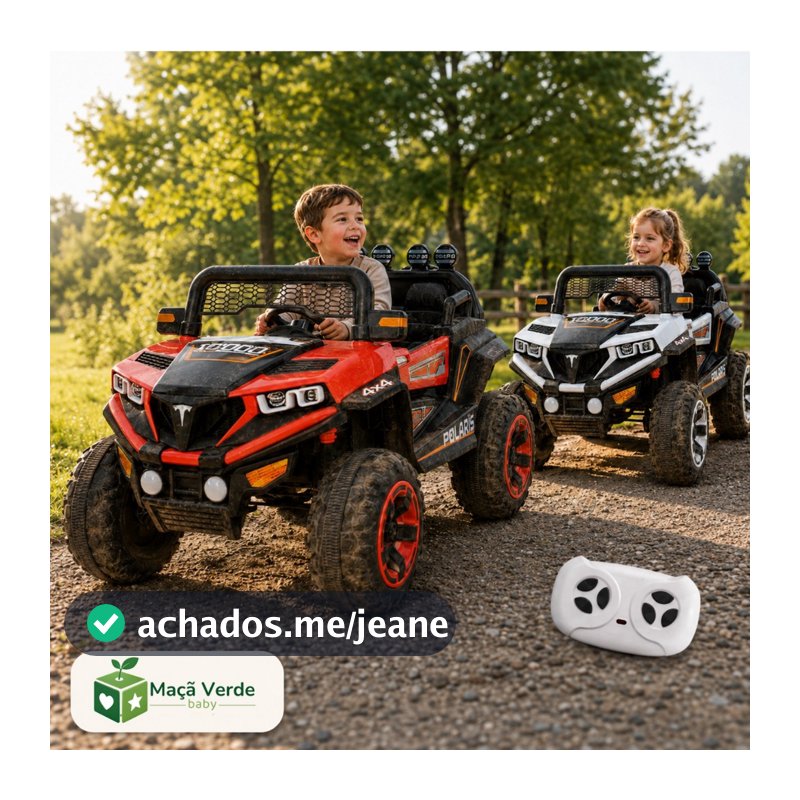 Carro Eletrico Zippy Toys Polaris UTV XP1000 4x2 12V Controle