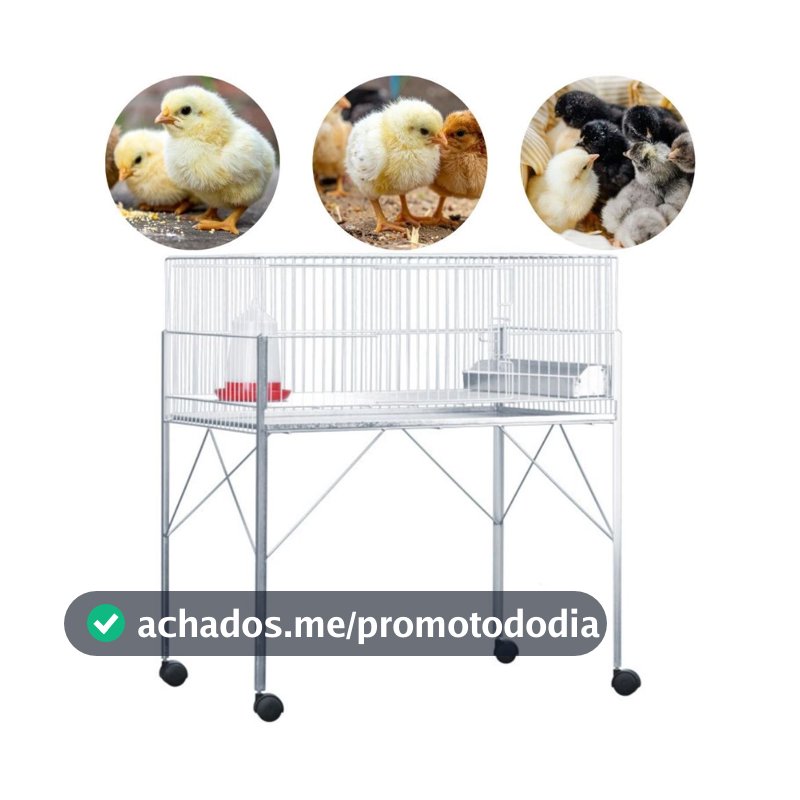 Gaiola para Pintinhos e Codornas Pinteiro - Marca Gaiola Londrina 023C