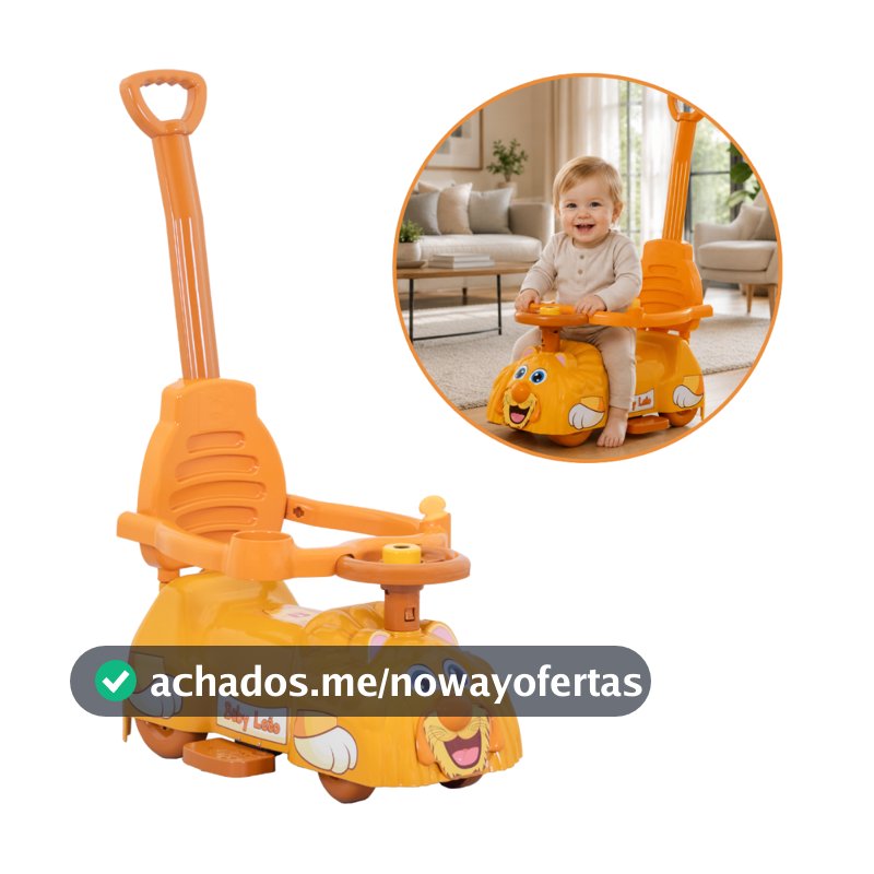 Andador Primeiros Passos Infantil Bebê Criança Baby Leão Menino Divertido