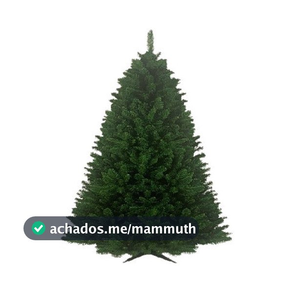 Arvore De Natal Pinheiro Verde Austrian Mix Pine 180cm 511 Galhos Grande Cheia