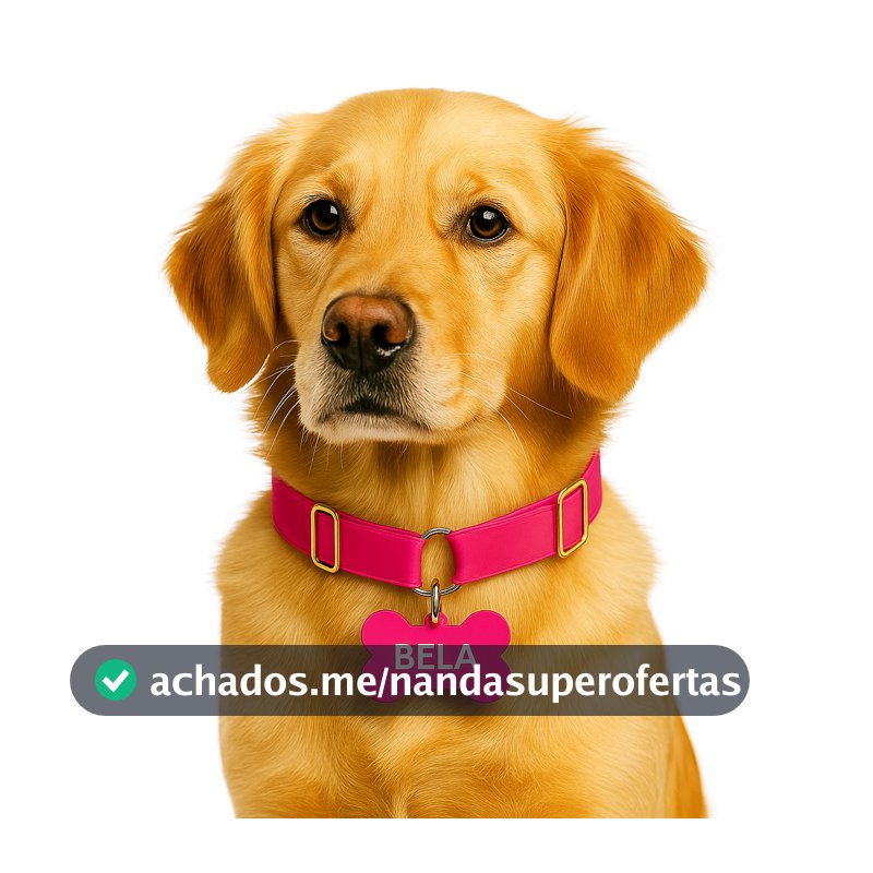 Coleira para Cachorros Yoo Pets com Plaquinha Gravada Nome e Telefone Regulável