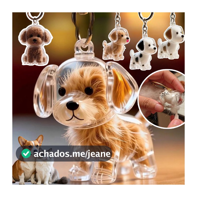 Chaveiro Criativo De Armazenamento De Cabelo Fofo Cachorro Pingente Transparente Para Animais De Estimação