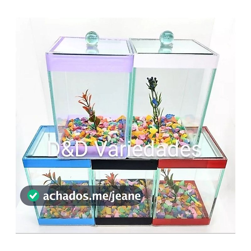 aquário beteiras lembrancinha para aniversário 10x10x13 para peixe betta kit com 6 und
