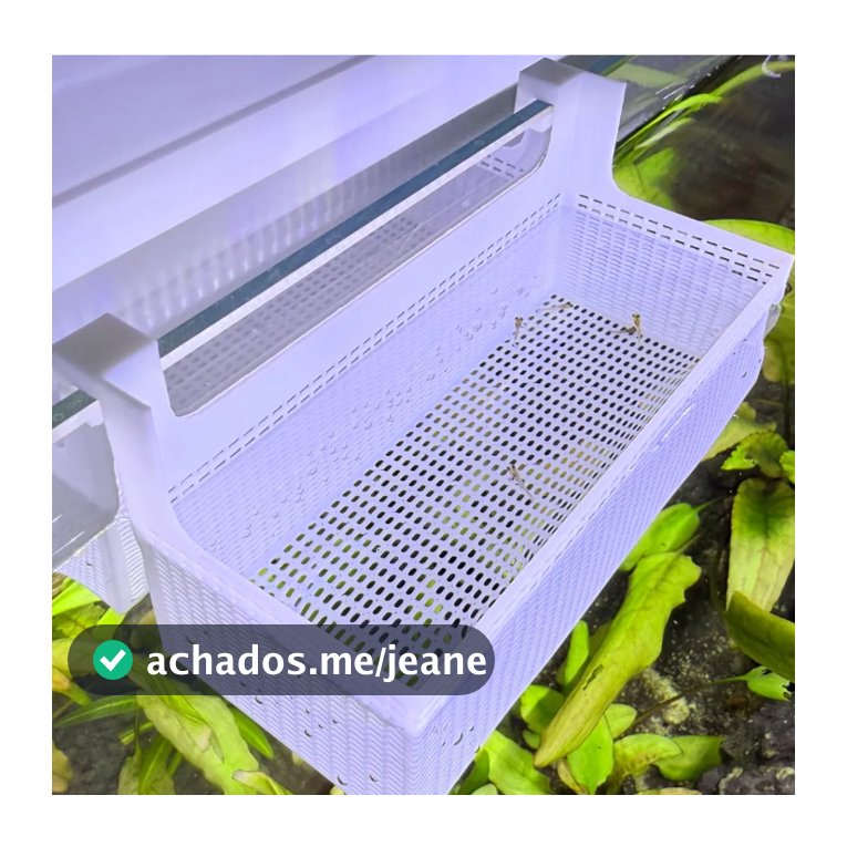 Criadeira e Isolamento para Aquário - Box Anti-Fuga com Micro Furos (Vidro até 5mm)