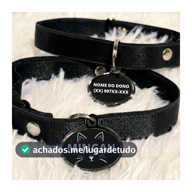 Coleira Para Gato Com Nome e Telefone Gravação Grátis Personalizada