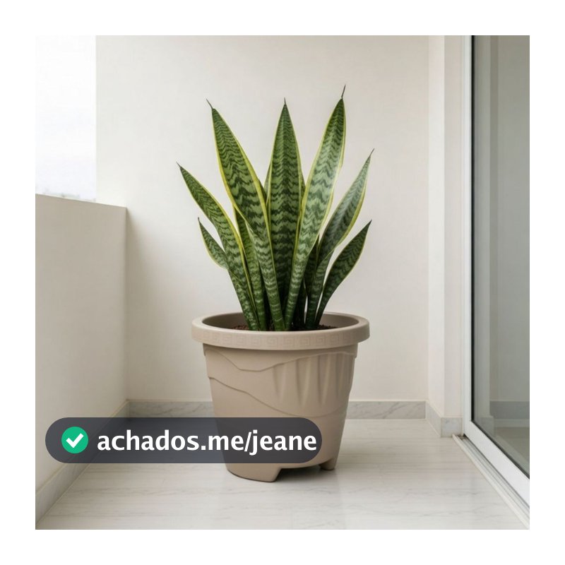Kit 6 Vaso Redondo G 9L Preto Terracota Café Areia Para Plantas Jardim Decorativo Resistente Multiuso Casa Exterior