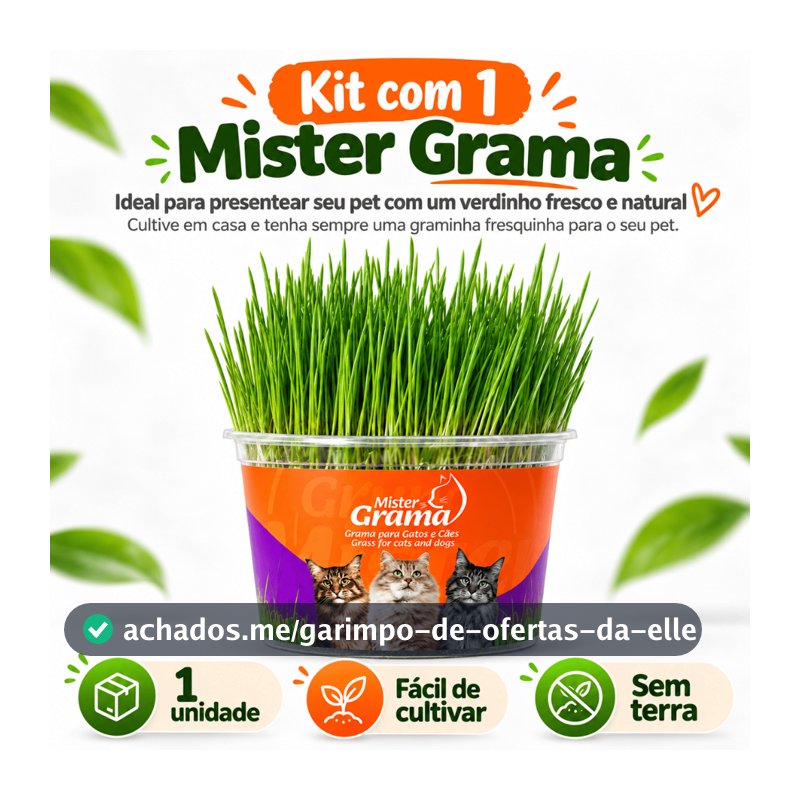 GRAMA PARA GATO MISTER FÁCIL DE PLANTAR E AJUDA NAS BOLAS DE PELO