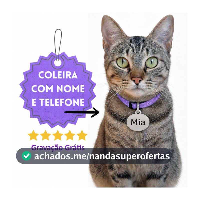 Coleira para Gato Anti Enforcamento com Identificação Nome e Telefone