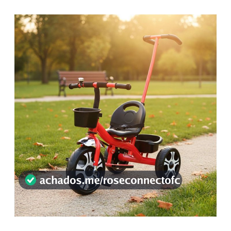 Triciclo Infantil Luxo Com 02 Cestinhas Sininho e Cinto de Segurança Haste Direcionável Para Crianças