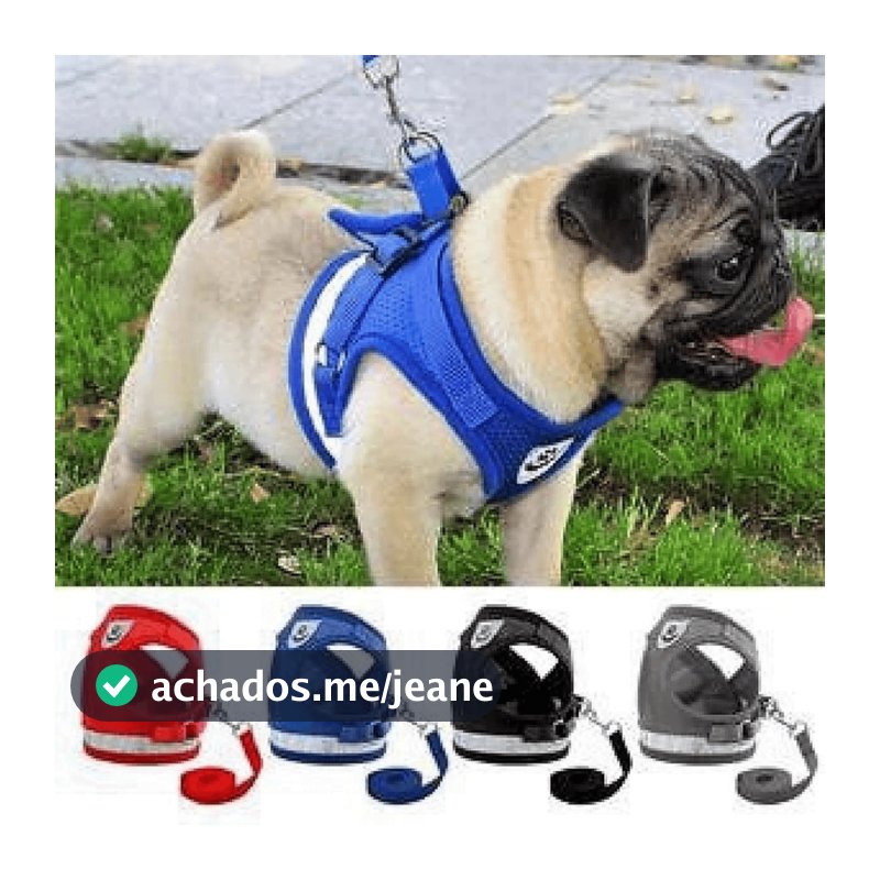 Peitoral + Guia Caes Cachorro Gato Coleira Colete Regulavel Super Confortavel Pet Passeio