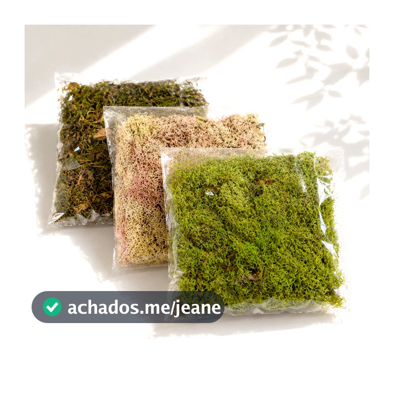 Kit com 3 Musgos para Artesanato - Cada pacotinho com 20g