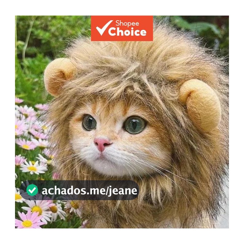 Juba De Leão Fofo Para Gato Cachorro Cosplay Peruca Chapéu Animais De Estimação Pequenos