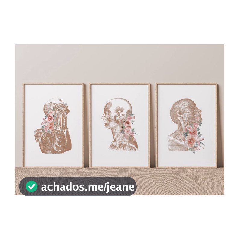 Quadro Decorativo Anatomia Humana, decoração casa Quadro Decorativo Medicina Minimalista tamanho grande Decoração para sala casa cozinha quarto