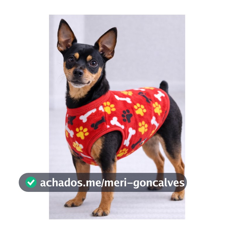 Roupinha Para Pet Gato ou Cachorro do1 ao 5 Promoção