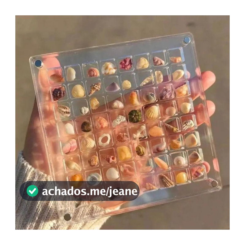 Nova Caixa De Exibição Magnética De Concha , Armazenamento De Plástico Transparente , Mini 36/64/100 Grades Coleção De Conchas De Grande Capacidade