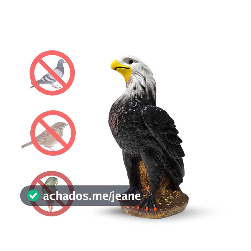 Gaviao Aguia Gesso Espanta Pombo E Passarinhos Decoracao Casa Estatua Enfeite Decorativo