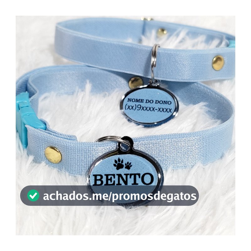 Coleira Gato com Pingente de Identificação Plaquinha Personalizada