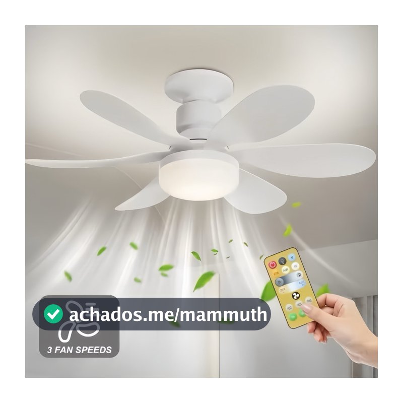 Ventilador De Teto Wind Light Silent Controle Remoto Lâmpada Led Silenciosa 6 Folhas