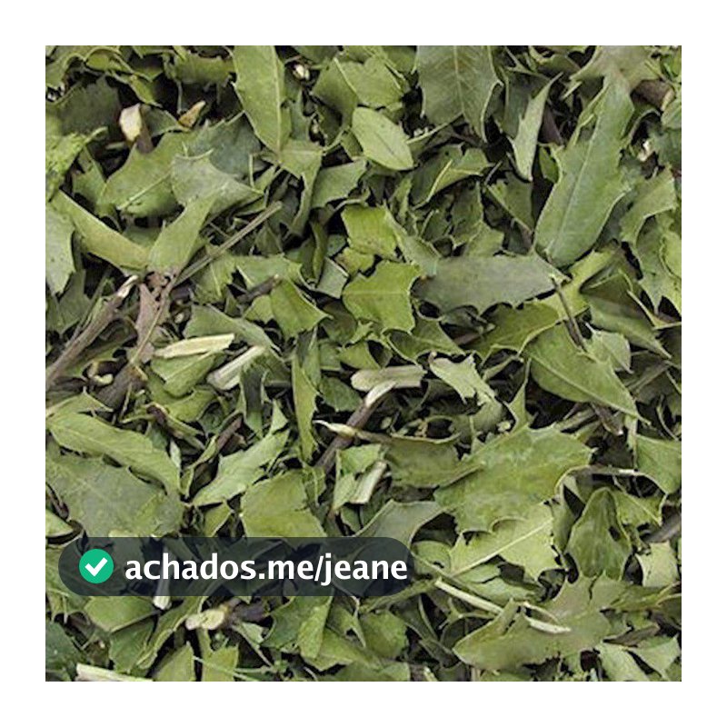 Espinheira Santa Folhas Para Chá Premium