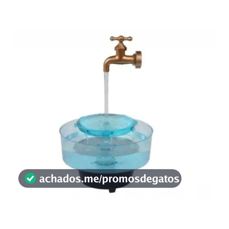 Fonte Aquafonte e Também Bebedouro Para Gatos  Litwin  Decoração 110v