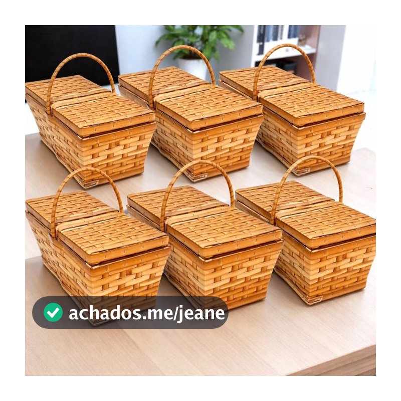 KIT 6 PIQUINIQUES MINI 13X15X22