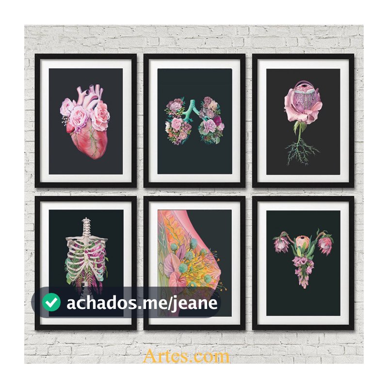 Quadro Decorativo Anatomia órgãos humanos pinturas na parede nordic arte imagem impressão pvc poster pp cola à prova dwaterproof água decoração de casa adesivo